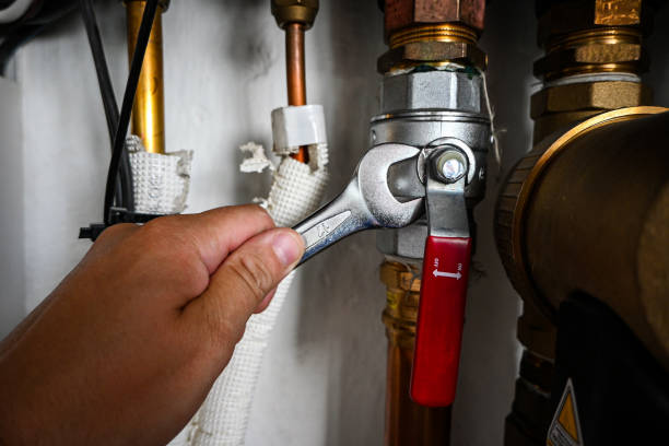 Best Commercial Plumbing Services  in Miles City, MT